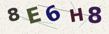 Codice di verifica