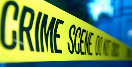 Master's in Criminological Sciences